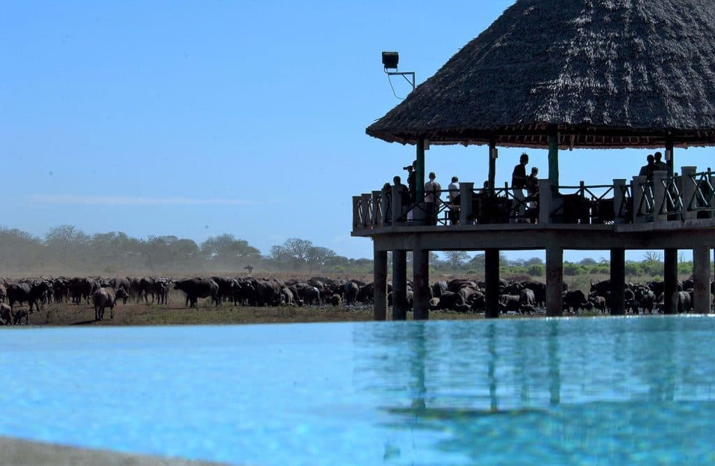 Voi Wildlife Lodge